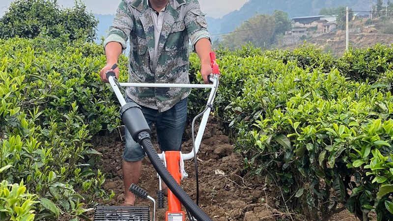 小型果园风送式喷雾机：规格解析与选购要点